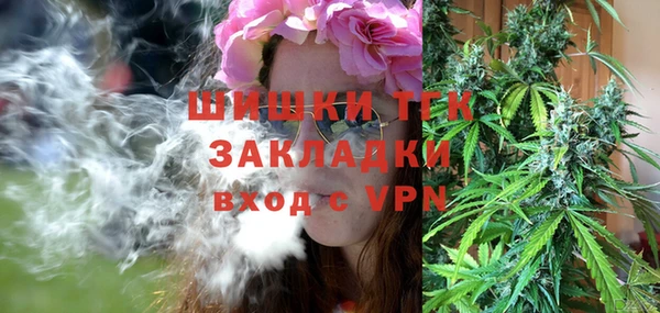 стафф Верхний Тагил
