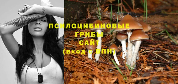стафф Верхний Тагил
