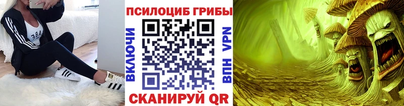 Псилоцибиновые грибы мицелий  Лукоянов 